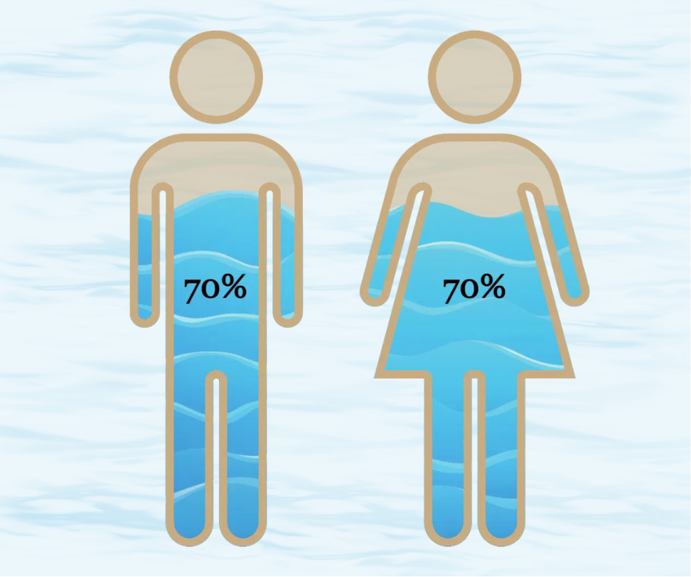 70% water in human body