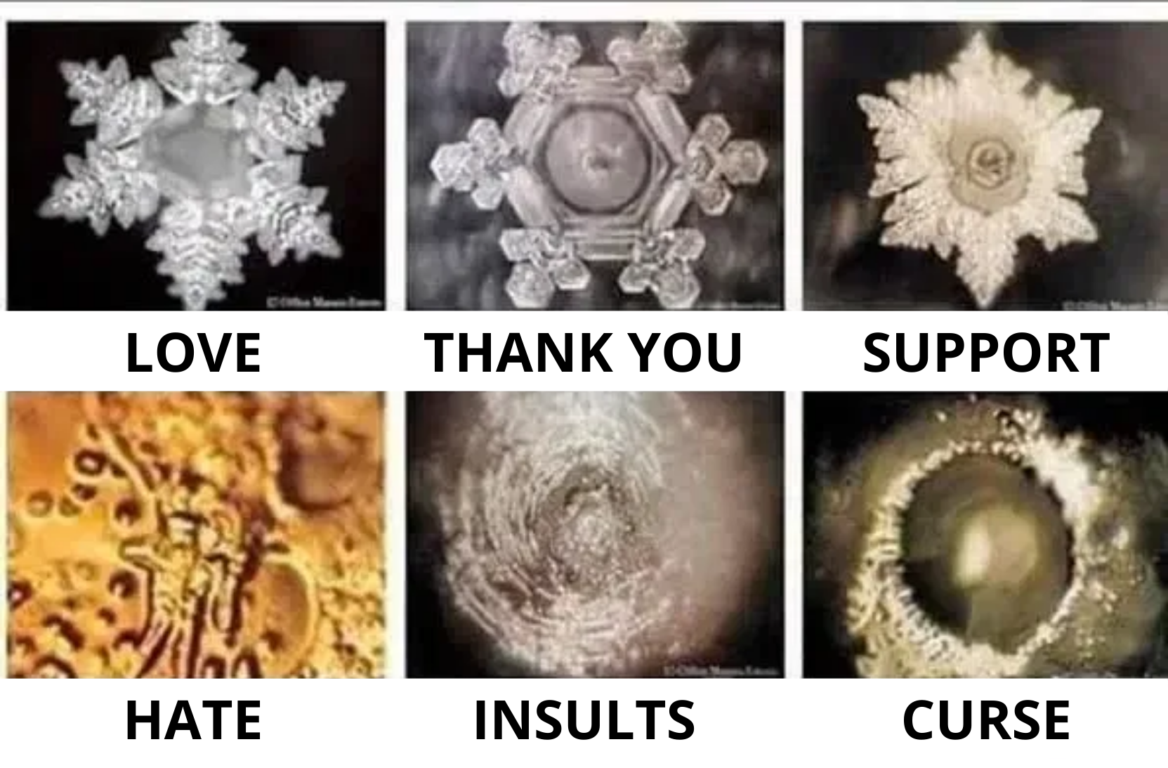 Water crystals under microscope: Love, Thank you, Support vs Hate, Insults, Curse
